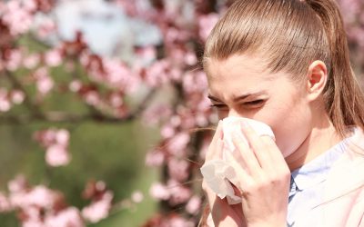 How Your HVAC System Impacts Your Spring Allergies
